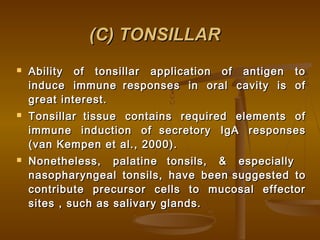 (C) TONSILLAR(C) TONSILLAR
 Ability of tonsillar application of antigen toAbility of tonsillar application of antigen to
induce immuneinduce immune responses in oral cavity is ofresponses in oral cavity is of
great interest.great interest.
 TonsillarTonsillar tissue contains required elements oftissue contains required elements of
immune induction ofimmune induction of secretory IgA responsessecretory IgA responses
(van Kempen et al., 2000).(van Kempen et al., 2000).
 Nonetheless, palatineNonetheless, palatine tonsils, & especiallytonsils, & especially
nasopharyngeal tonsils, have beennasopharyngeal tonsils, have been suggested tosuggested to
contribute precursor cells to mucosal effectorcontribute precursor cells to mucosal effector
sites , such as salivary glands.sites , such as salivary glands.
 