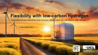 Flexibility with low-carbon hydrogen
Paul Dodds and Jana Fakhreddine (both University College London, UK), Kari Espegren (IFE, Norway)
17 November 2023
 