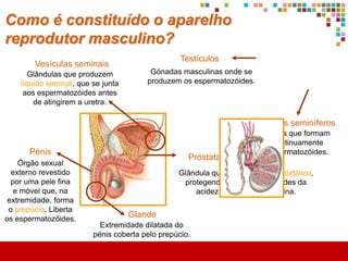 O que é a adolescência?




                 Adolescência




    Infância                           Fase adulta



                                É atingida quando todas
                                   as transformações
                                        terminam.
 
