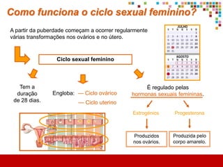 Qual a função do aparelho
reprodutor masculino?
 Objectivo

             Produzir espermatozóides e colocá-los dentro do aparelho reprodutor
                                         feminino.

                                                                         Vias
                         produzem                           percorrem   genitais

                                                                          até
    Tubos seminíferos                   Espermatozóides


                                         juntamente com



         Sémen                       Líquido      Líquido
                                    prostático    seminal
                        formam
                                                                         Uretra
 