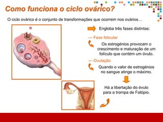 Será que aprendi?
                                  Sistema reprodutor

                                           Pode ser

                Feminino                                            Masculino

                                                            composto         regulado
                                                              por               por

                                                       Órgãos                       Hormonas
                                        Internos                  Externos
                                                                                    por exemplo
                                          são
                                                                   Pénis           Testosterona
                   Vias           Glândulas
                                                           Gónadas
                  genitais         anexas

   Epidídimos
                             Vesícula                      Testículos
    Canais                                 Próstata
                             seminal
   deferentes
                             Líquido       Líquido      Espermatozóides
     Uretra
                             seminal      prostático
 
