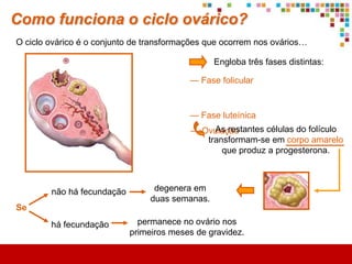 Qual é a função do aparelho
reprodutor feminino?
 Objectivo

             Produzir óvulos e proporcionar condições para a fecundação
                              e desenvolvimento do feto.


                                                                   Vias
                        produz                       percorre     genitais

       Ovário                          Óvulo                         até




                                                                    Útero
 