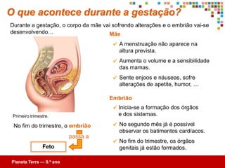 Como funciona o ciclo uterino?
O ciclo uterino é o conjunto de transformações que ocorrem no útero…

                                                  O funcionamento do ciclo uterino
                                                  está ligado ao do ciclo ovárico.

                                                   Engloba três fases distintas:

                                            — Fase menstrual         5 dias
                                            — Fase proliferativa       9 dias
 Útero                                      — Fase secretora     14 dias
                                                  Aumenta a produção de
                                                       progesterona
 Se não há         os níveis de
fecundação        progesterona
                    diminuem.
                                                  provoca maior desenvolvimento
                                                          do endométrio.
    Menstruação
                                  Perto do 21.º dia, está pronto
                                    para alojar um embrião.
 
