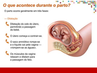 O que acontece após a fecundação?
A fusão dos dois núcleos origina uma célula...


                                                              Três ou quatro dias
                               Ovo ou zigoto                depois, divide-se várias
                                                            vezes e forma a mórula.

                                                 Ao chegar ao útero, continua
                                                 a crescer e a desenvolver-se
                                                 até se alojar no endométrio.


                                                          Nidação


                                                     passa a


                                                                  Embrião
 