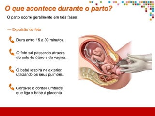O que acontece durante a gestação?
Após a nidação, o embrião continua a desenvolver-se…


                                                — Placenta
                                                       Desenvolve-se no
                                                        endométrio e liga
                                                       a mãe ao embrião.

                                                — Cordão umbilical
                                                       Liga o embrião à placenta
                                                        e transporta os nutrientes
                                                       e os produtos de excreção.

                                                — Saco amniótico
                                                       Bolsa cheia de líquido
                                                       amniótico, que contém
                                                       o embrião e o protege
                                                           dos choques.


Planeta Terra — 9.º ano
 