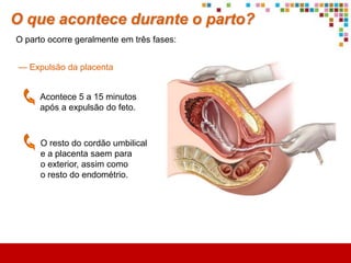 O que acontece durante a gestação?
Durante a gestação, o corpo da mãe vai sofrendo alterações e o embrião vai-se
desenvolvendo…                       Mãe
                                        A menstruação não aparece na
                                         altura prevista.
                                        Aumenta o volume e a sensibilidade
                                         das mamas.
                                        Sente enjoos e náuseas, sofre
                                         alterações de apetite, humor, …

                                      Embrião
                                        Inicia-se a formação dos órgãos
 Primeiro trimestre.                     e dos sistemas.

 No fim do trimestre, o embrião         No segundo mês já é possível
                                         observar os batimentos cardíacos.
                          passa a
                                        No fim do trimestre, os órgãos
                Feto                     genitais já estão formados.

Planeta Terra — 9.º ano
 