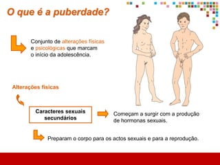 Como se organiza o teu corpo?
 Tecido           Constituído por células semelhantes com a mesma função.




                                                   constituído por


     Órgão                     Tecido muscular                       Células


                                                 Unidade básica da vida

As células podem ter muitas formas diferentes:
 