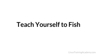 Teach Yourself to Fish
 