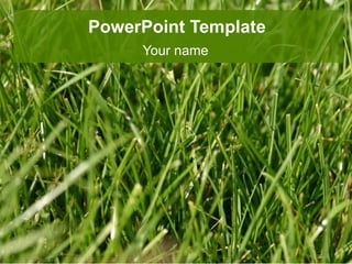 PowerPoint Template
Your name
 