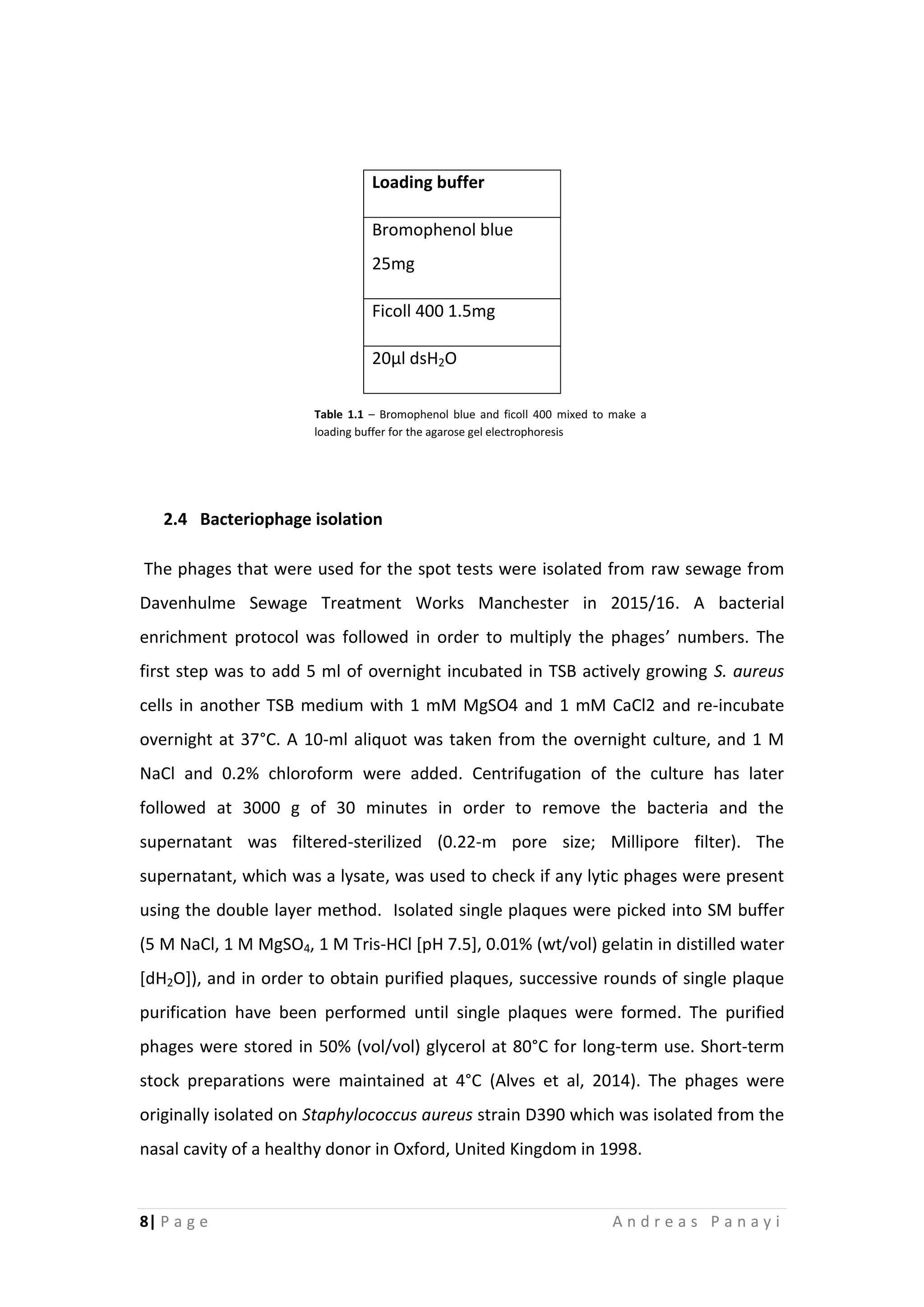 8| P a g e A n d r e a s P a n a y i
2.4 Bacteriophage isolation
The phages that were used for the spot tests were isolated from raw sewage from
Davenhulme Sewage Treatment Works Manchester in 2015/16. A bacterial
enrichment protocol was followed in order to multiply the phages’ numbers. The
first step was to add 5 ml of overnight incubated in TSB actively growing S. aureus
cells in another TSB medium with 1 mM MgSO4 and 1 mM CaCl2 and re-incubate
overnight at 37°C. A 10-ml aliquot was taken from the overnight culture, and 1 M
NaCl and 0.2% chloroform were added. Centrifugation of the culture has later
followed at 3000 g of 30 minutes in order to remove the bacteria and the
supernatant was filtered-sterilized (0.22-m pore size; Millipore filter). The
supernatant, which was a lysate, was used to check if any lytic phages were present
using the double layer method. Isolated single plaques were picked into SM buffer
(5 M NaCl, 1 M MgSO4, 1 M Tris-HCl [pH 7.5], 0.01% (wt/vol) gelatin in distilled water
[dH2O]), and in order to obtain purified plaques, successive rounds of single plaque
purification have been performed until single plaques were formed. The purified
phages were stored in 50% (vol/vol) glycerol at 80°C for long-term use. Short-term
stock preparations were maintained at 4°C (Alves et al, 2014). The phages were
originally isolated on Staphylococcus aureus strain D390 which was isolated from the
nasal cavity of a healthy donor in Oxford, United Kingdom in 1998.
Loading buffer
Bromophenol blue
25mg
Ficoll 400 1.5mg
20μl dsH2O
Table 1.1 – Bromophenol blue and ficoll 400 mixed to make a
loading buffer for the agarose gel electrophoresis
 