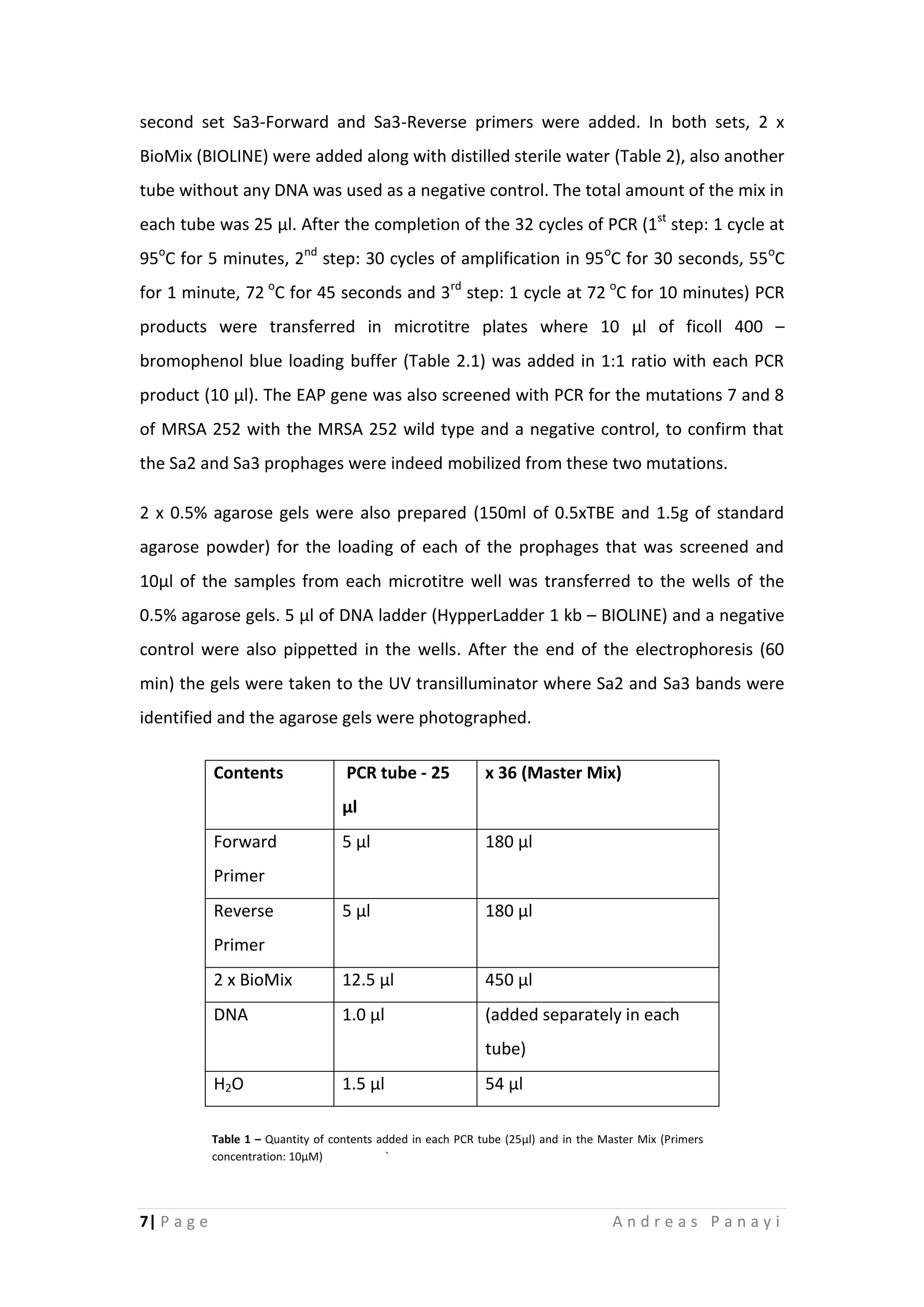 7| P a g e A n d r e a s P a n a y i
second set Sa3-Forward and Sa3-Reverse primers were added. In both sets, 2 x
BioMix (BIOLINE) were added along with distilled sterile water (Table 2), also another
tube without any DNA was used as a negative control. The total amount of the mix in
each tube was 25 μl. After the completion of the 32 cycles of PCR (1st
step: 1 cycle at
95o
C for 5 minutes, 2nd
step: 30 cycles of amplification in 95o
C for 30 seconds, 55o
C
for 1 minute, 72 o
C for 45 seconds and 3rd
step: 1 cycle at 72 o
C for 10 minutes) PCR
products were transferred in microtitre plates where 10 μl of ficoll 400 –
bromophenol blue loading buffer (Table 2.1) was added in 1:1 ratio with each PCR
product (10 μl). The EAP gene was also screened with PCR for the mutations 7 and 8
of MRSA 252 with the MRSA 252 wild type and a negative control, to confirm that
the Sa2 and Sa3 prophages were indeed mobilized from these two mutations.
2 x 0.5% agarose gels were also prepared (150ml of 0.5xTBE and 1.5g of standard
agarose powder) for the loading of each of the prophages that was screened and
10μl of the samples from each microtitre well was transferred to the wells of the
0.5% agarose gels. 5 μl of DNA ladder (HypperLadder 1 kb – BIOLINE) and a negative
control were also pippetted in the wells. After the end of the electrophoresis (60
min) the gels were taken to the UV transilluminator where Sa2 and Sa3 bands were
identified and the agarose gels were photographed.
Contents PCR tube - 25
μl
x 36 (Master Mix)
Forward
Primer
5 μl 180 μl
Reverse
Primer
5 μl 180 μl
2 x BioMix 12.5 μl 450 μl
DNA 1.0 μl (added separately in each
tube)
H2O 1.5 μl 54 μl
Table 1 – Quantity of contents added in each PCR tube (25μl) and in the Master Mix (Primers
concentration: 10μΜ) `
 