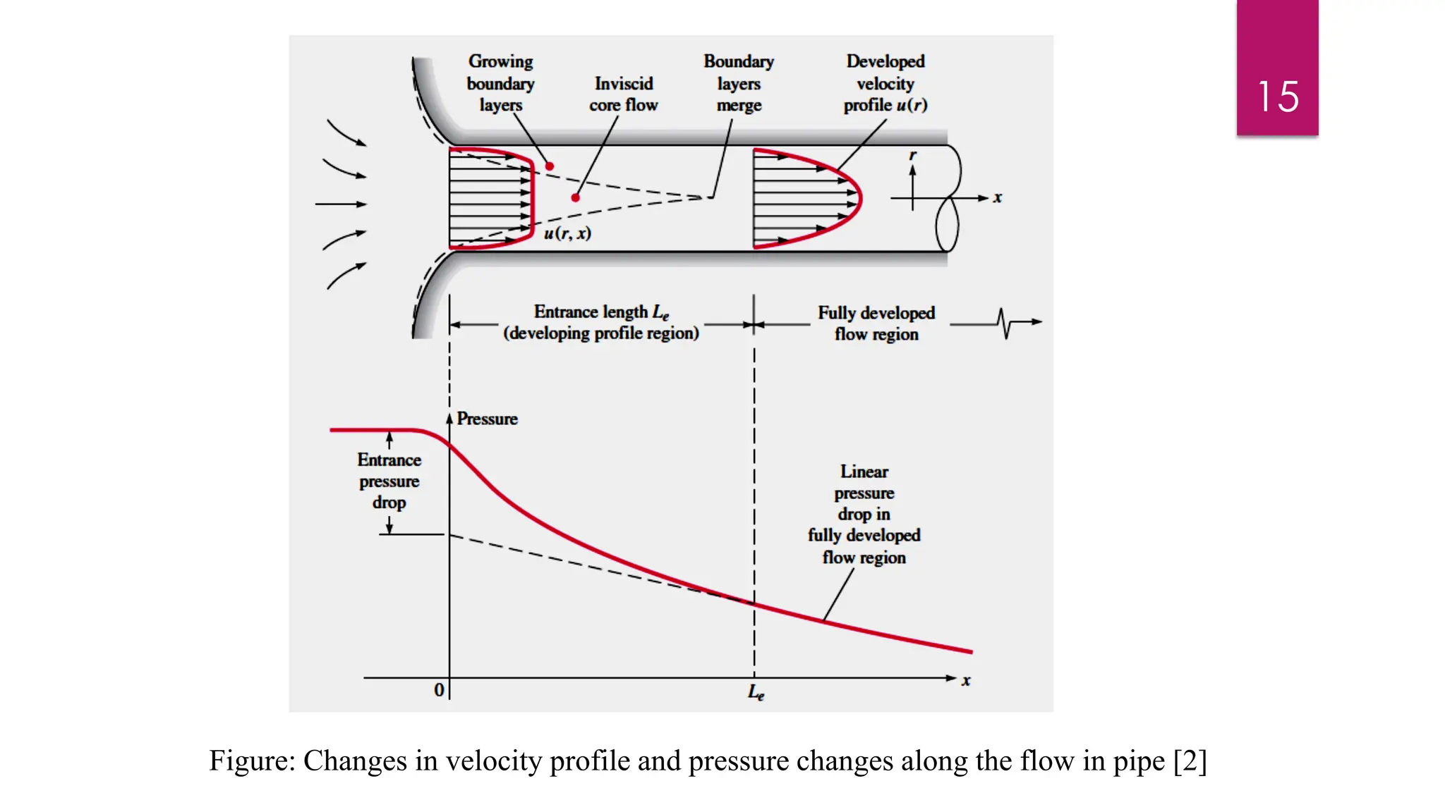 15
Figure: Changes in velocity profile and pressure changes along the flow in pipe [2]
 