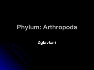 Phylum: Arthropoda Zglavkari 
