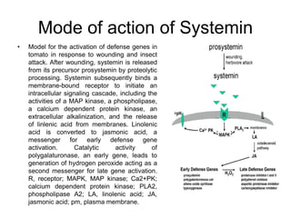Hormones.ppt