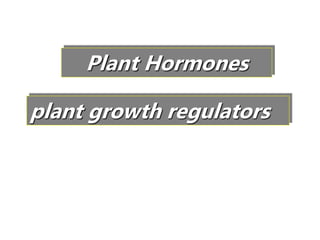 Plant Hormones
plant growth regulators
 