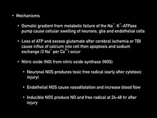 • Mechanisms
• Osmotic gradient from metabolic failure of the Na
+
, K
+
-ATPase
pump cause cellular swelling of neurons, glia and endothelial cells
• Loss of ATP and excess glutamate after cerebral ischemia or TBI
cause influx of calcium into cell then apoptosis and sodium
exchange (3 Na
+
per Ca
3+
) occur
• Nitric oxide (NO) from nitric oxide synthase (NOS)
• Neuronal NOS produces toxic free radical (early after cytotoxic
injury)
• Endothelial NOS cause vasodilatation and increase blood flow
• Inducible NOS produce NO and free radical at 24-48 hr after
injury
 