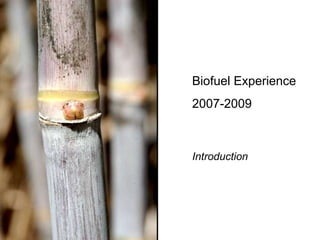 Biofuel Experience 2007-2009 Introduction 