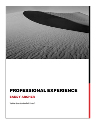 Variety of professional attributes!
PROFESSIONAL EXPERIENCE
SANDY ARCHER
 