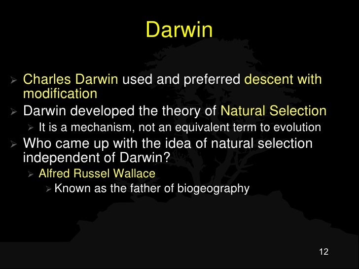 How Did Wallace Come Up With Natural Selection How Did Wallace Come Up With Natural Selection