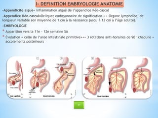 I- DEFINITION EMBRYOLOGIE ANATOMIE
-Appendicite aiguë= inflammation aiguë de l’appendice iléo-cæcal
-Appendice iléo-cæcal=Reliquat embryonnaire de signification+++ Organe lymphoïde, de
longueur variable (en moyenne de 1 cm à la naissance jusqu’à 12 cm à l’âge adulte).
-EMBRYOLOGIE
* Apparition vers la 11e - 12e semaine SA
* Évolution = celle de l’anse intestinale primitive+++ 3 rotations anti-horaires de 90° chacune +
accolements postérieurs
EY
 