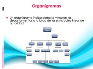Un organigrama indica como se vinculan los
departamentos a lo largo de las principales líneas de
autoridad
 