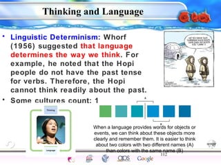 When a language provides words for objects or 
events, we can think about these objects more 
clearly and remember them. It is easier to think 
about two colors with two different names (A) 
than colors with the same name (B) 
112 
Intelligence Gardner 
Thinking and Language 
• Linguistic Determinism: Whorf 
(1956) suggested that language 
determines the way we think. For 
example, he noted that the Hopi 
people do not have the past tense 
for verbs. Therefore, the Hopi 
cannot think readily about the past. 
• Some cultures count: 1, 2, many… 
Cognition Concepts Problems A.I. Creativity 
I.Q. Wechsler Bias Delay Terman Heredity 
Animal 
 