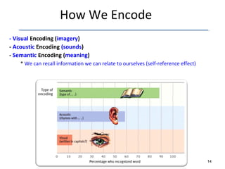 How We Encode 
- Visual Encoding (imagery) 
- Acoustic Encoding (sounds) 
- Semantic Encoding (meaning) 
* We can recall information we can relate to ourselves (self-reference effect) 
14 
 