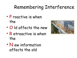 Remembering Interference 
• P roactive is when 
the 
• O ld affects the new 
• R etroactive is when 
the 
• N ew information 
affects the old 
 