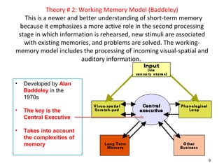 Theory # 2: Working Memory Model (Baddeley) 
This is a newer and better understanding of short-term memory 
because it emphasizes a more active role in the second processing 
stage in which information is rehearsed, new stimuli are associated 
with existing memories, and problems are solved. The working-memory 
model includes the processing of incoming visual-spatial and 
auditory information. 
9 
• Developed by Alan 
Baddeley in the 
1970s 
• The key is the 
Central Executive 
• Takes into account 
the complexities of 
memory 
 