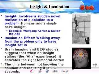 Insight & Incubation 
91 
Intelligence Gardner 
• Insight: involves a sudden novel 
realization of a solution to a 
problem. Humans and animals 
have insight. 
– Example: Wolfgang Kohler & Sultan 
the Ape 
• Incubation Effect: Walking away 
from the problem only to have 
insight set in 
• Brain imaging and EEG studies 
suggest that when an insight 
strikes (the “Aha” experience), it 
activates the right temporal cortex 
• The time between not knowing the 
solution and realizing it is 0.3 
seconds. 
Cognition Concepts Problems A.I. Creativity 
I.Q. Wechsler Bias Delay Terman Heredity 
Animal 
 