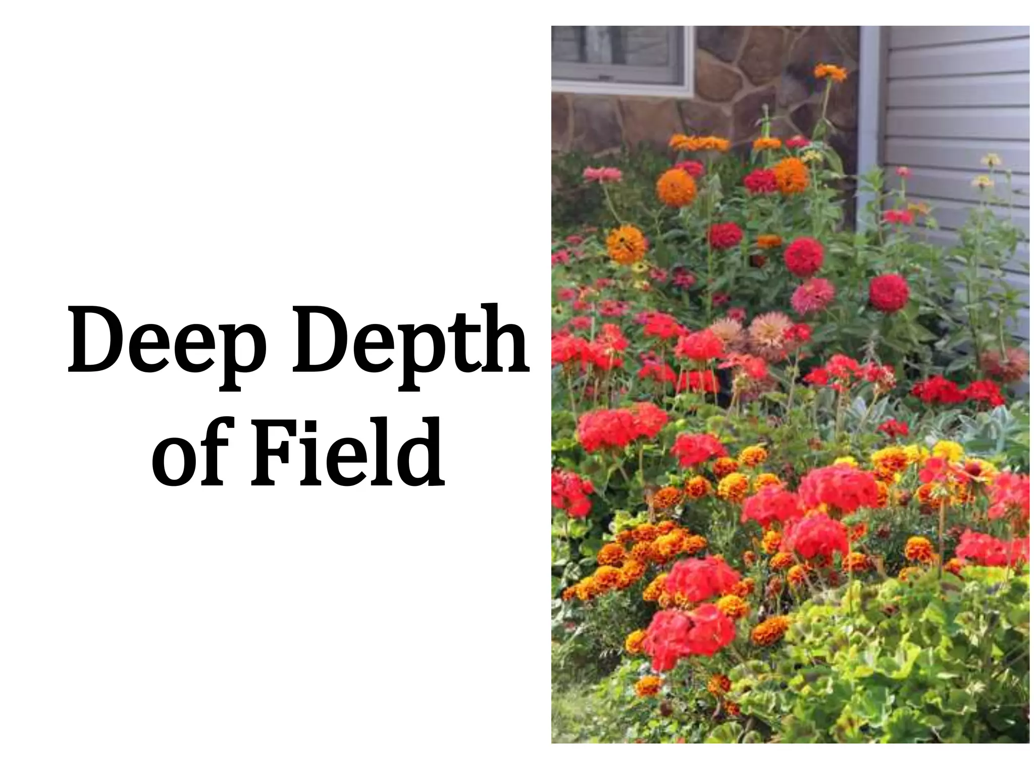 Deep Depth
of Field
 