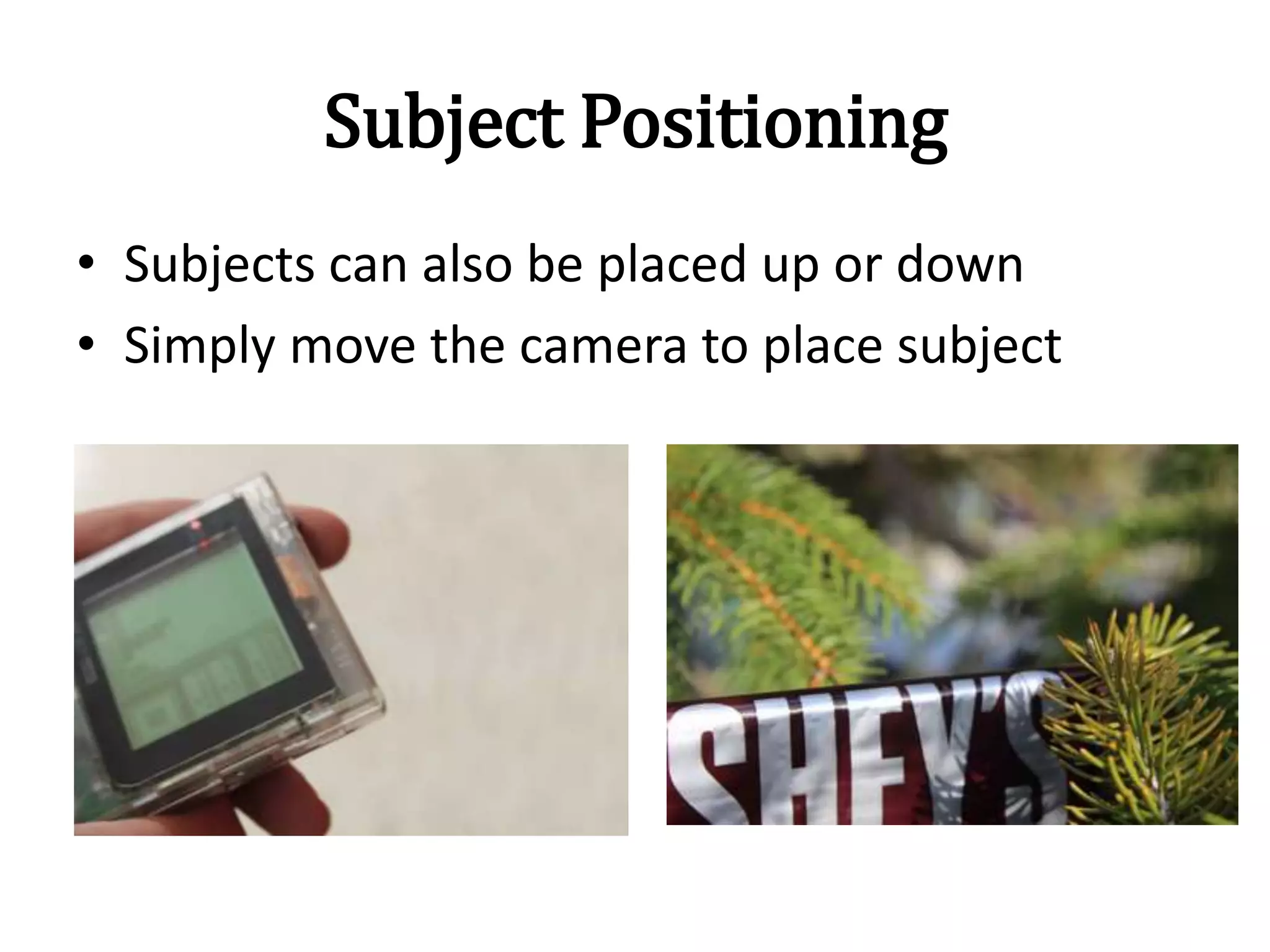 Subject Positioning
• Subjects can also be placed up or down
• Simply move the camera to place subject
 