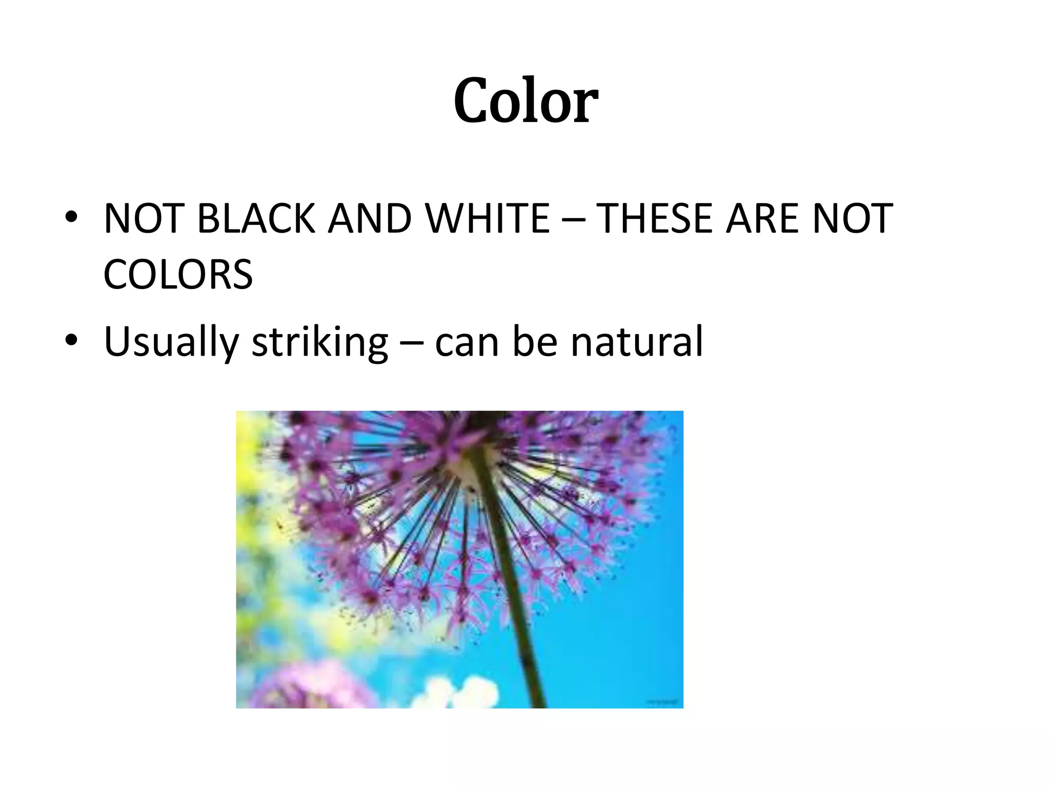 Color
• NOT BLACK AND WHITE – THESE ARE NOT
COLORS
• Usually striking – can be natural
 