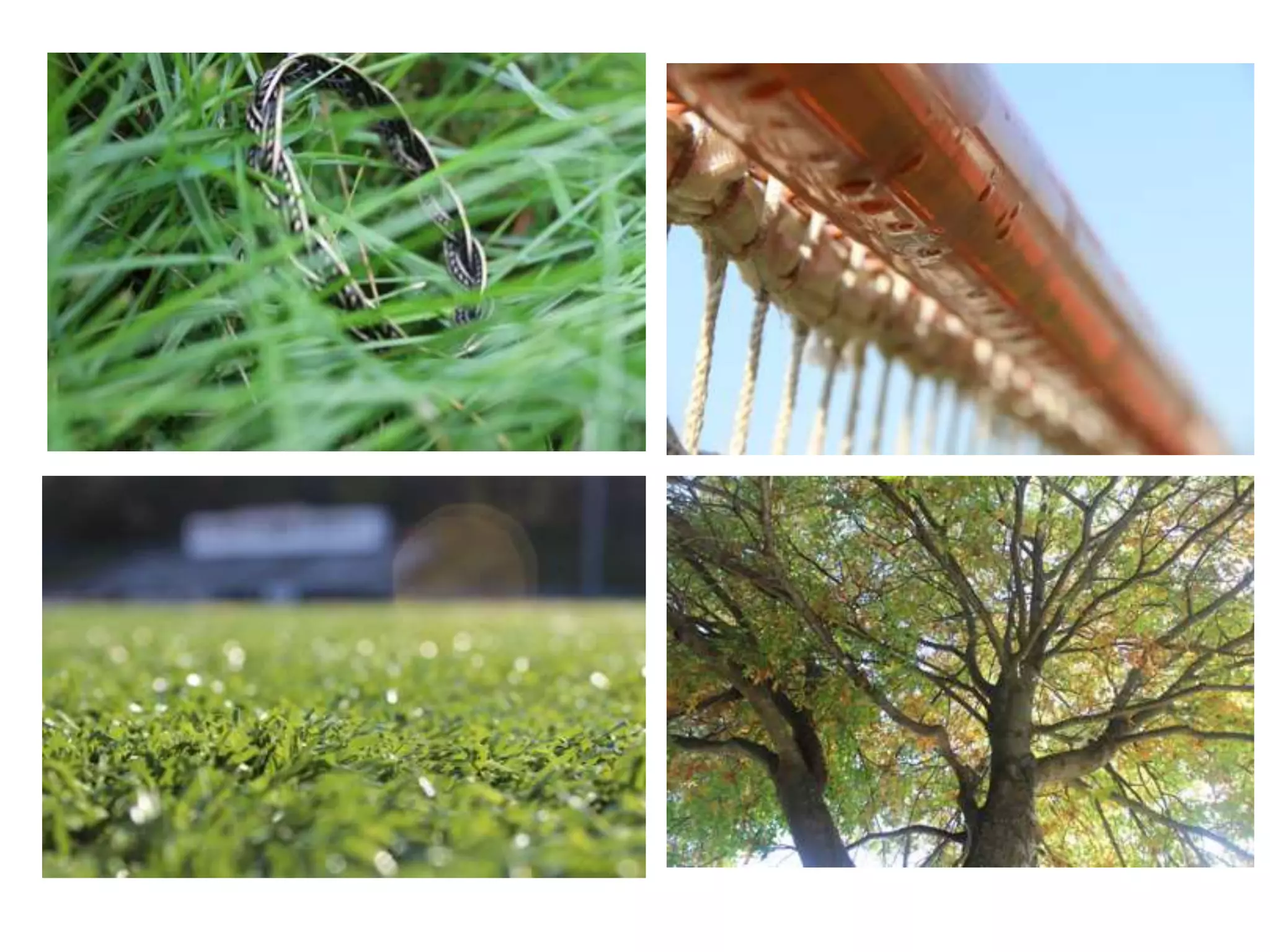 2015 Composition Techniques 