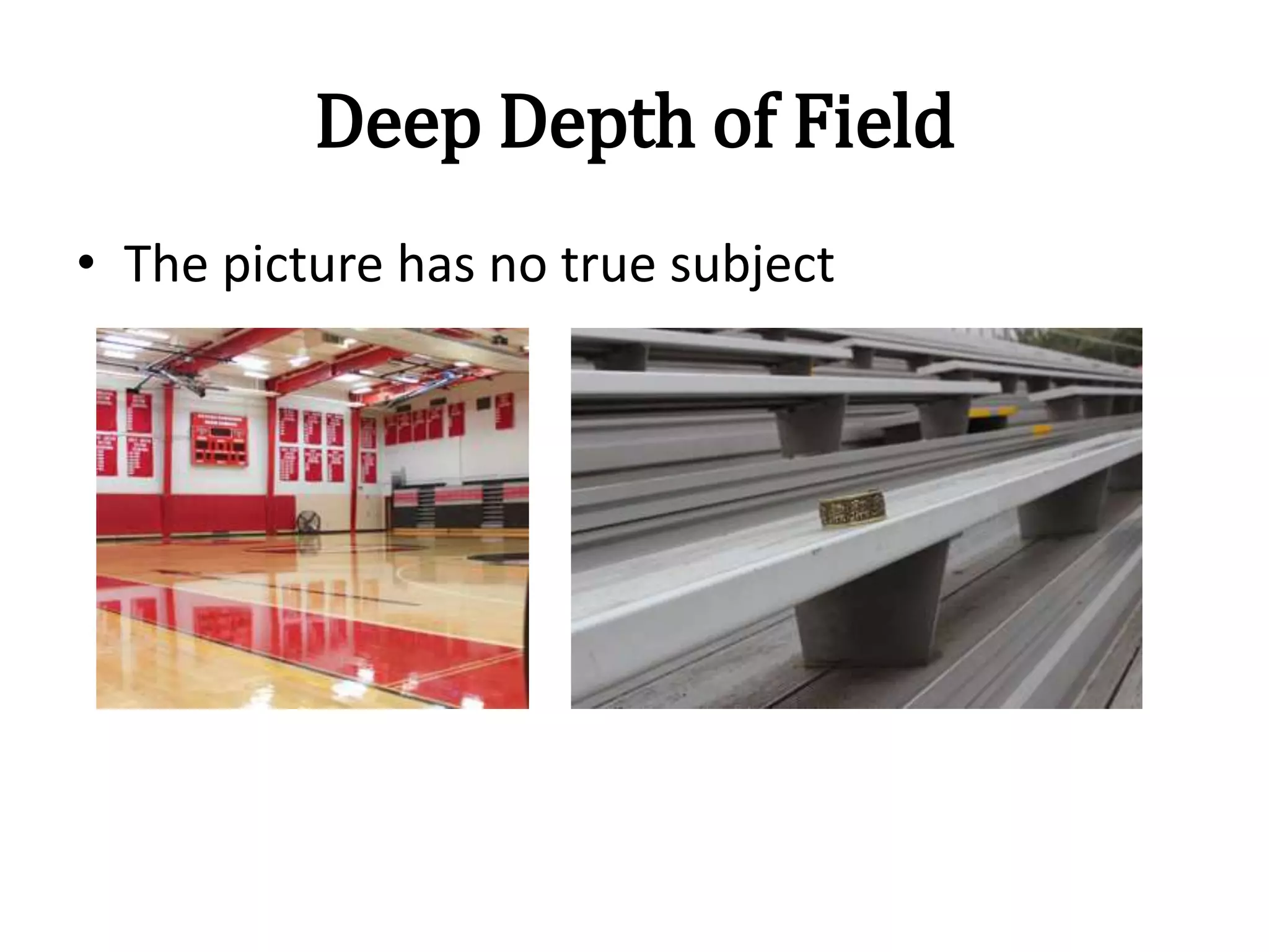 Deep Depth of Field
• The picture has no true subject
 