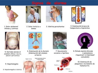Signos de alarma
1. Dolor abdominal
intenso y continuo
2. Dolor torácico o
disnea
3. Vómitos persistentes
7. Decaimiento
excesivo o lipotimia
5. Derrame seroso al
examen clínico ( Ascitis,
pleural o pericardico)
6. Disminución de la diuresis
(disminución del volumen
urinario)
4. Disminución brusca de
temperatura o hipotermia
9. Hepatomegalia o ictericia
8. Estado mental alterado
( somnolencia
/inquietud/ irritabilidad/
convulsión)
10. Disminución de
plaquetas o incremento de
hematocrito
9. Hepatomegalia
 