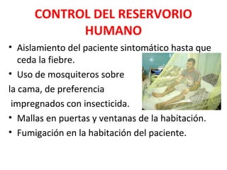 CONTROL DEL RESERVORIO
HUMANO
• Aislamiento del paciente sintomático hasta que
ceda la fiebre.
• Uso de mosquiteros sobre
la cama, de preferencia
impregnados con insecticida.
• Mallas en puertas y ventanas de la habitación.
• Fumigación en la habitación del paciente.
 