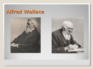 Alfred Wallace
 
