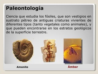 Paleontología
Ciencia que estudia los fósiles, que son vestigios en
sustrato pétreo de antiguas criaturas vivientes de
diferentes tipos (tanto vegetales como animales), y
que pueden encontrarse en los estratos geológicos
de la superficie terrestre.




      Amonite                         Ámbar
 