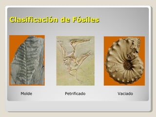 Clasificación de Fósiles




   Molde      Petrificado   Vaciado
 