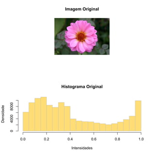 Imagem Original
Histograma Original
Intensidades
Densidade
0.0 0.2 0.4 0.6 0.8 1.0
040008000
 