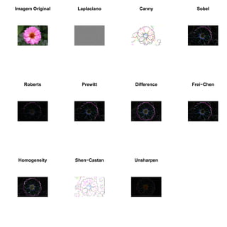 Imagem Original Laplaciano Canny Sobel
Roberts Prewitt Difference Frei−Chen
Homogeneity Shen−Castan Unsharpen
 