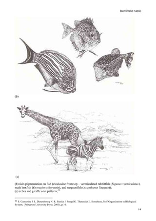 Biomimetic Fabric
	
   14
(b)
(c)
(b) skin pigmentation on fish (clockwise from top – vermiculated rabbitfish (Siganus vermiculatus),
male boxfish (Ostracion solorensis), and surgeonfish (Acanthurus lineatus));
(c) zebra and giraffe coat patterns;36
	
  	
  	
  	
  	
  	
  	
  	
  	
  	
  	
  	
  	
  	
  	
  	
  	
  	
  	
  	
  	
  	
  	
  	
  	
  	
  	
  	
  	
  	
  	
  	
  	
  	
  	
  	
  	
  	
  	
  	
  	
  	
  	
  	
  	
  	
  	
  	
  	
  	
  	
  	
  	
  	
  	
  	
  
36	
  S. Camazine J. L. Deneubourg N. R. Franks J. Sneyd G. Theraulaz E. Bonabeau, Self-Organization in Biological
System, (Princeton University Press, 2001), p.10.	
  
 