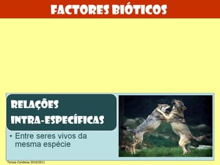 Teresa Condeixa 2010/2011 Factores bióticos  