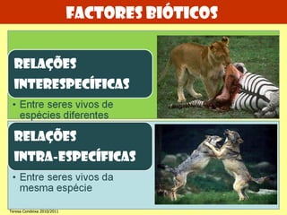 Teresa Condeixa 2010/2011 Factores bióticos  