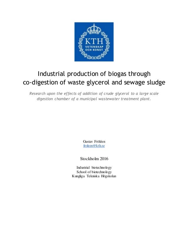 Master thesis biogas