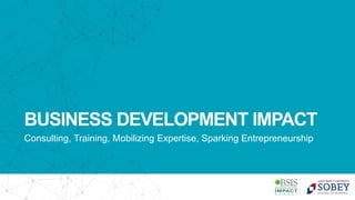 BUSINESS DEVELOPMENT IMPACT
Consulting, Training, Mobilizing Expertise, Sparking Entrepreneurship
 