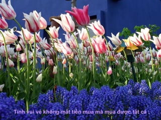 .




                        .
Tính vui vẻ không mất tiền mua mà mua được tất cả .
 