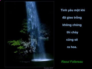 Tình yêu một khi

 đã gieo trồng

 không chóng

   thì chày

   cũng sẽ

    ra hoa.



Raoul Follereau
 