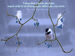 Trong đám người yếu kém,
mạnh nhất là kẻ không quên điểm yếu của mình.
               Tục ngữ Scandinavian
 